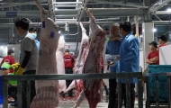 Nhà máy giết mổ động vật tập trung ở Nhơn An vận hành 3 dây chuyền giết mổ gia súc, 2 dây chuyền giết mổ gia cầm. Ảnh: THU DỊU