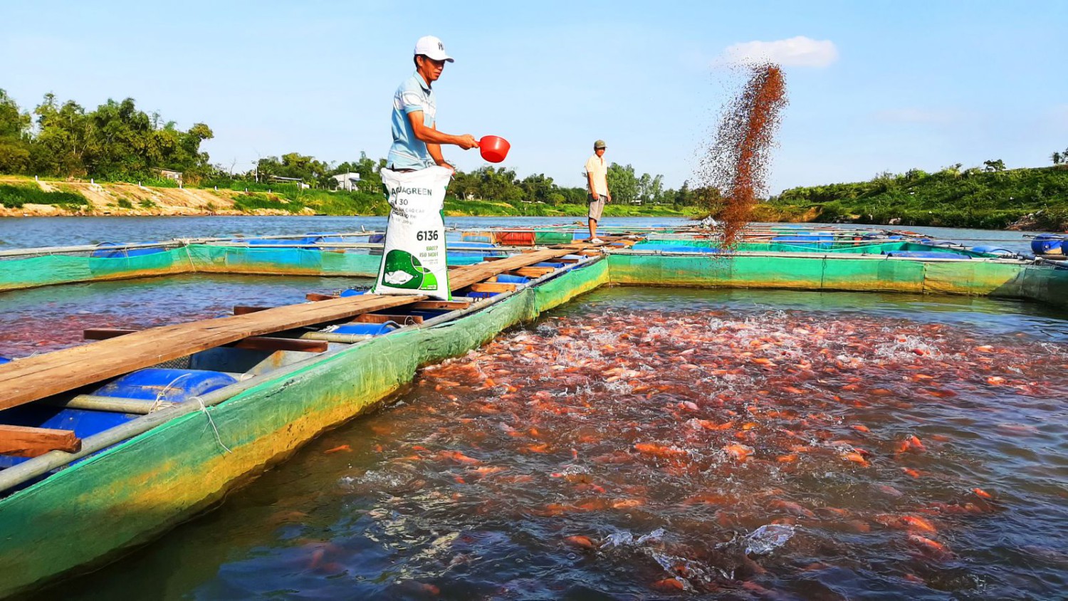 Tỉ phú nuôi cá