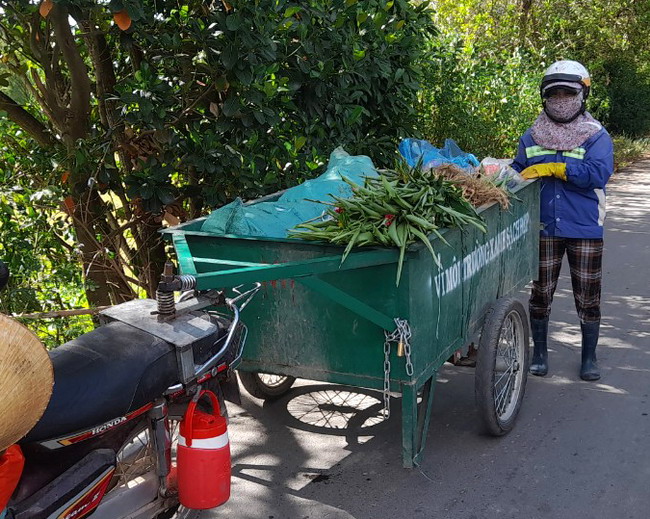Thu gom rác bằng cộ kéo tại phường Nhơn Hưng. Ảnh: V.LƯU